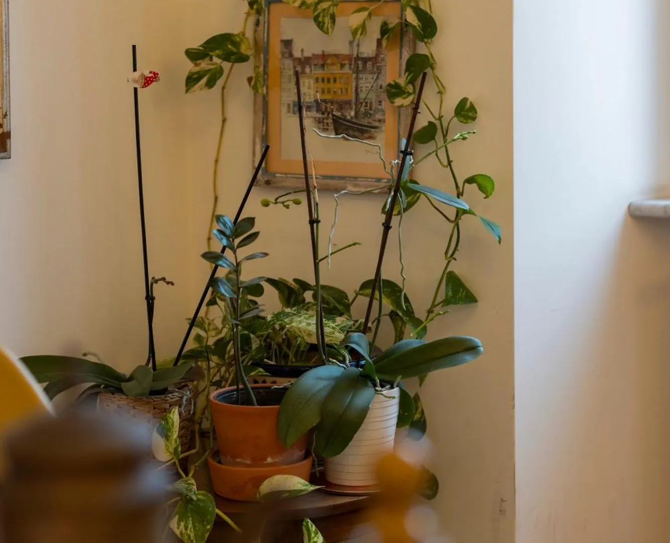 Scala Santa Cozy Flat Apartment Rome Italy